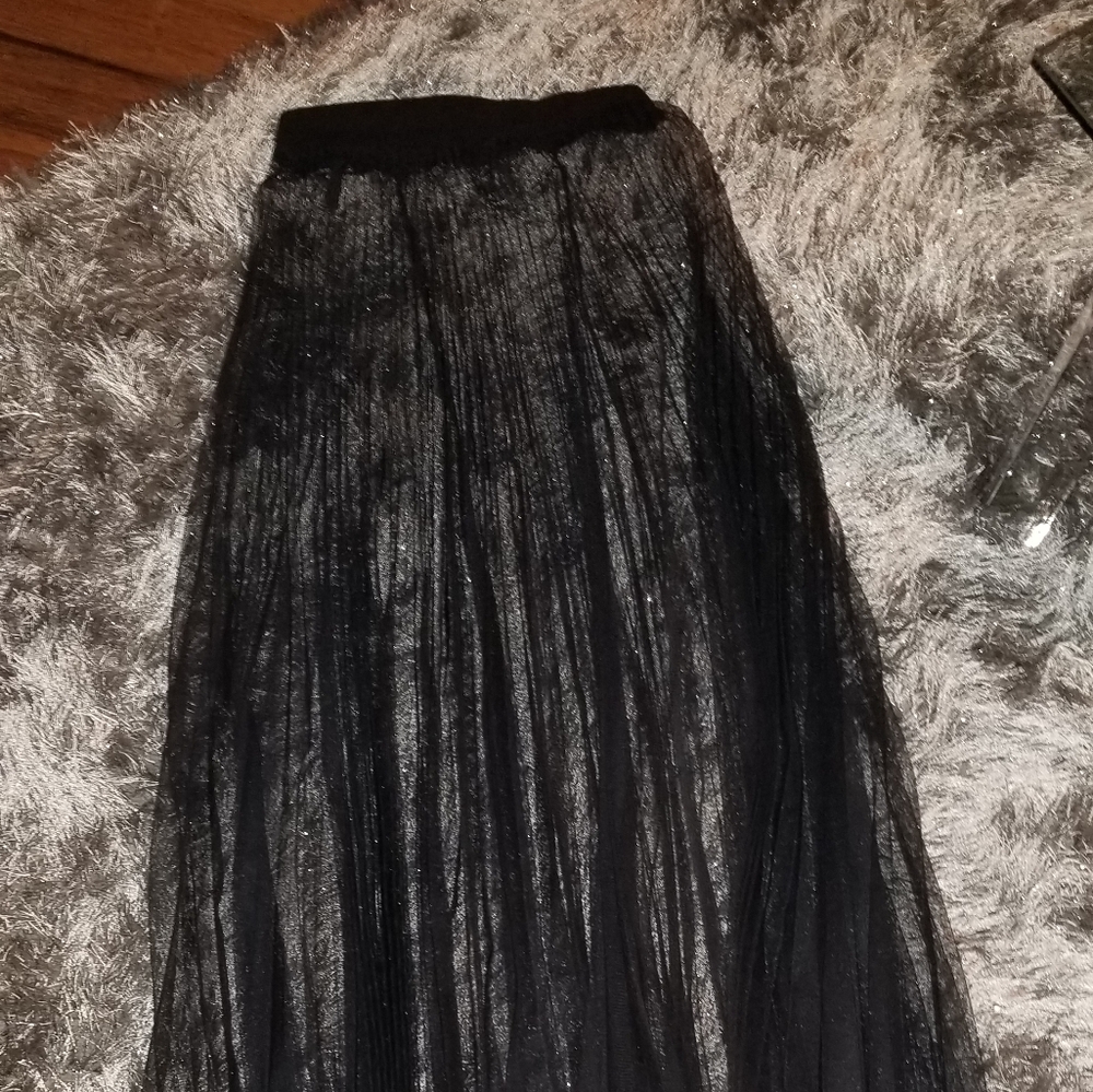 Sheer Ankle Length Pleated Skirt